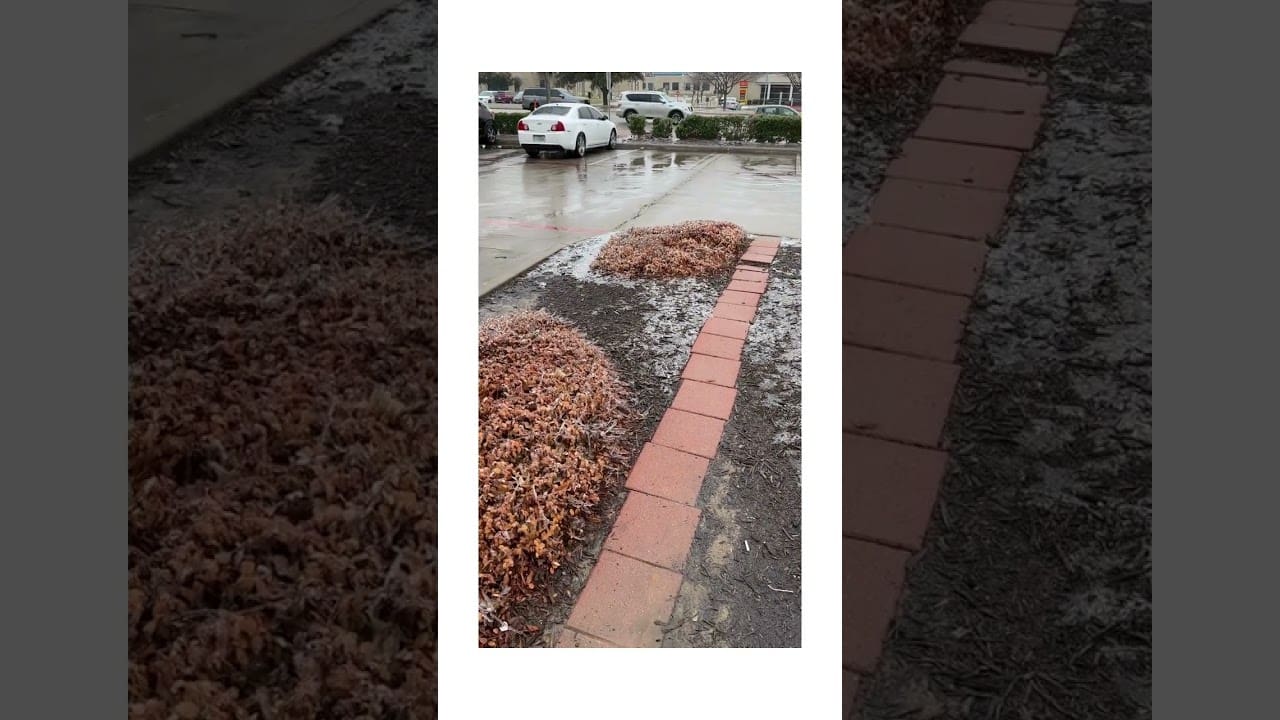 Icy Pathway